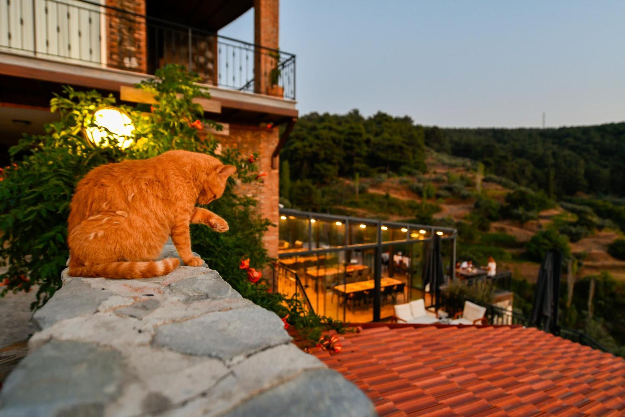 Ephesus Retreat Hotel Измир Екстериор снимка