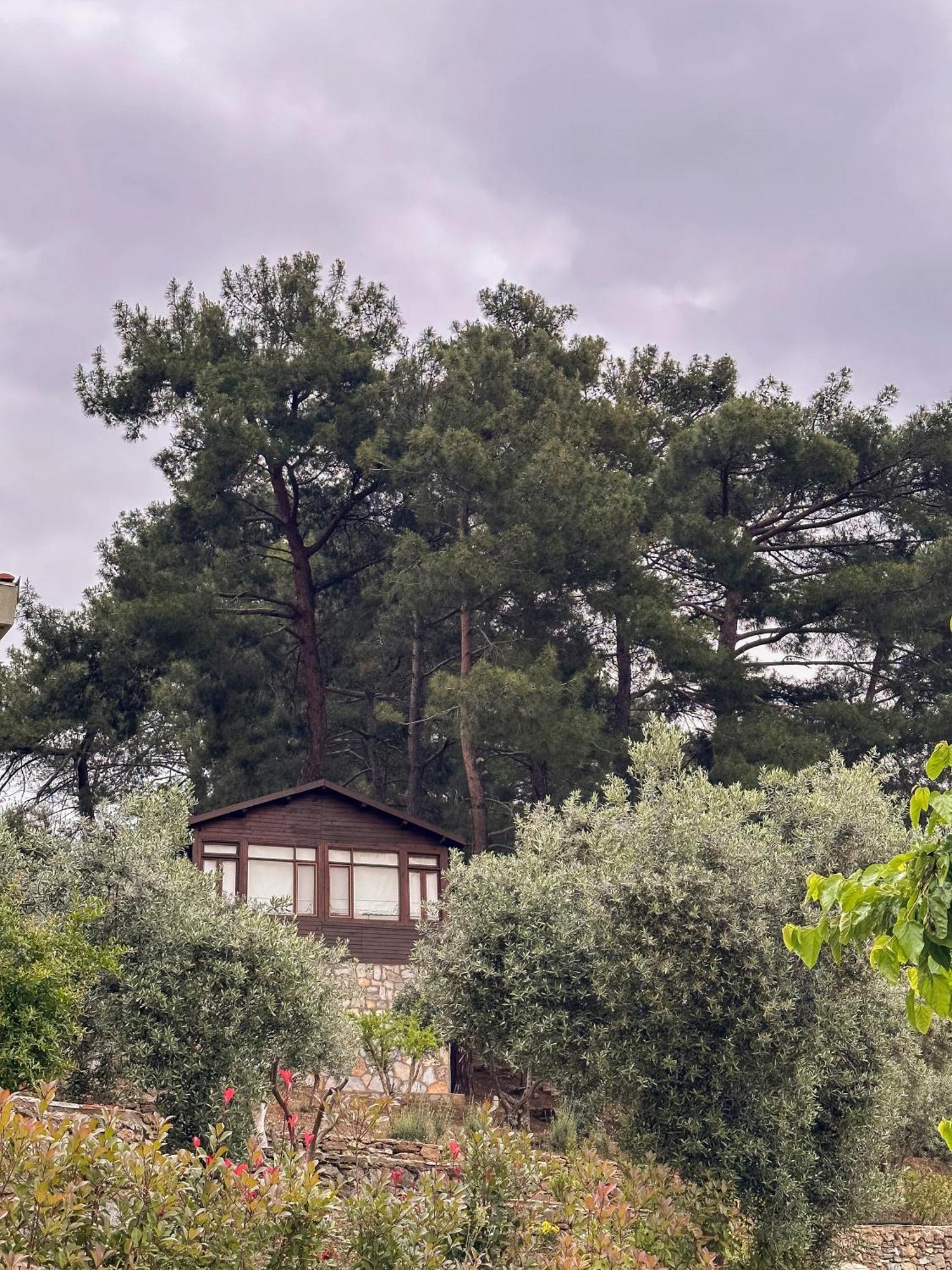 Ephesus Retreat Hotel Измир Екстериор снимка
